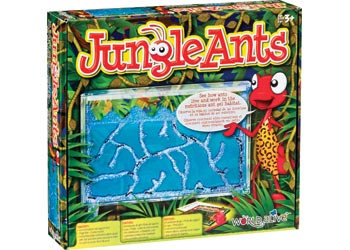 Jungle Ants
