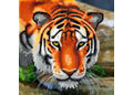 CrystalArt - Tiger, 18x18cm Card 