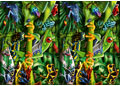 Rburg - Amazing Amphibians Puzzle 35pc
