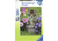 Rburg - Kitten among the Flowers Puzzle 100pc