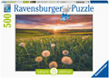 Rburg - Dandelions at Sunset Puzzle 500pc