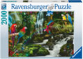Rburg - Parrots Paradise Puzzle 2000pc