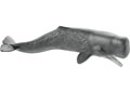 Schleich - Sperm Whale