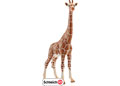 Schleich - Giraffe Animal Cut - out
